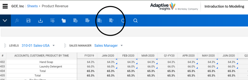 Remove repetitive total rows in Adaptive Insights